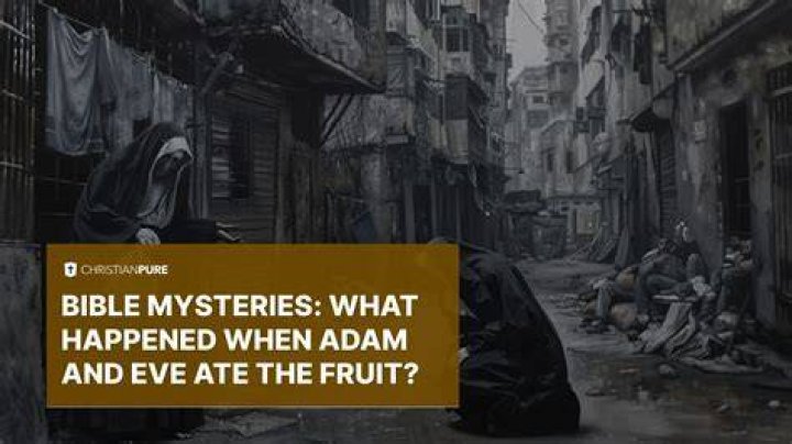 What Happened To The Adam Carolla Podcast Li Creative