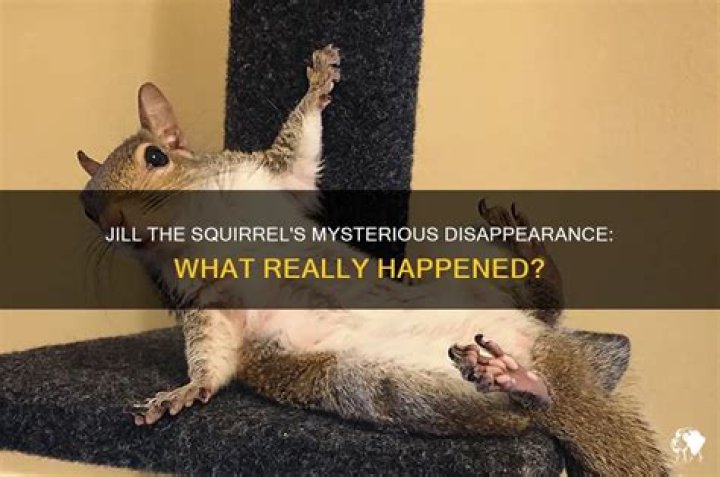What Really Happened: The Mysterious Death Of Aubrey