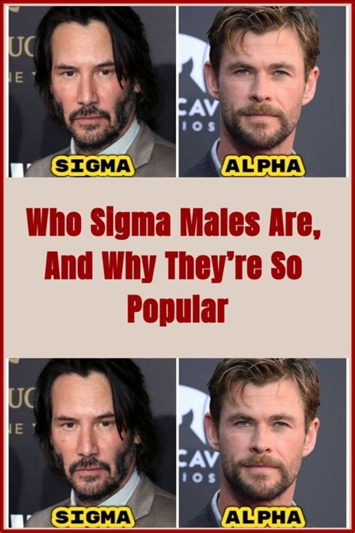 Who Sigma Males Are, and Why They&rsquo;re So Popular / Bright Side